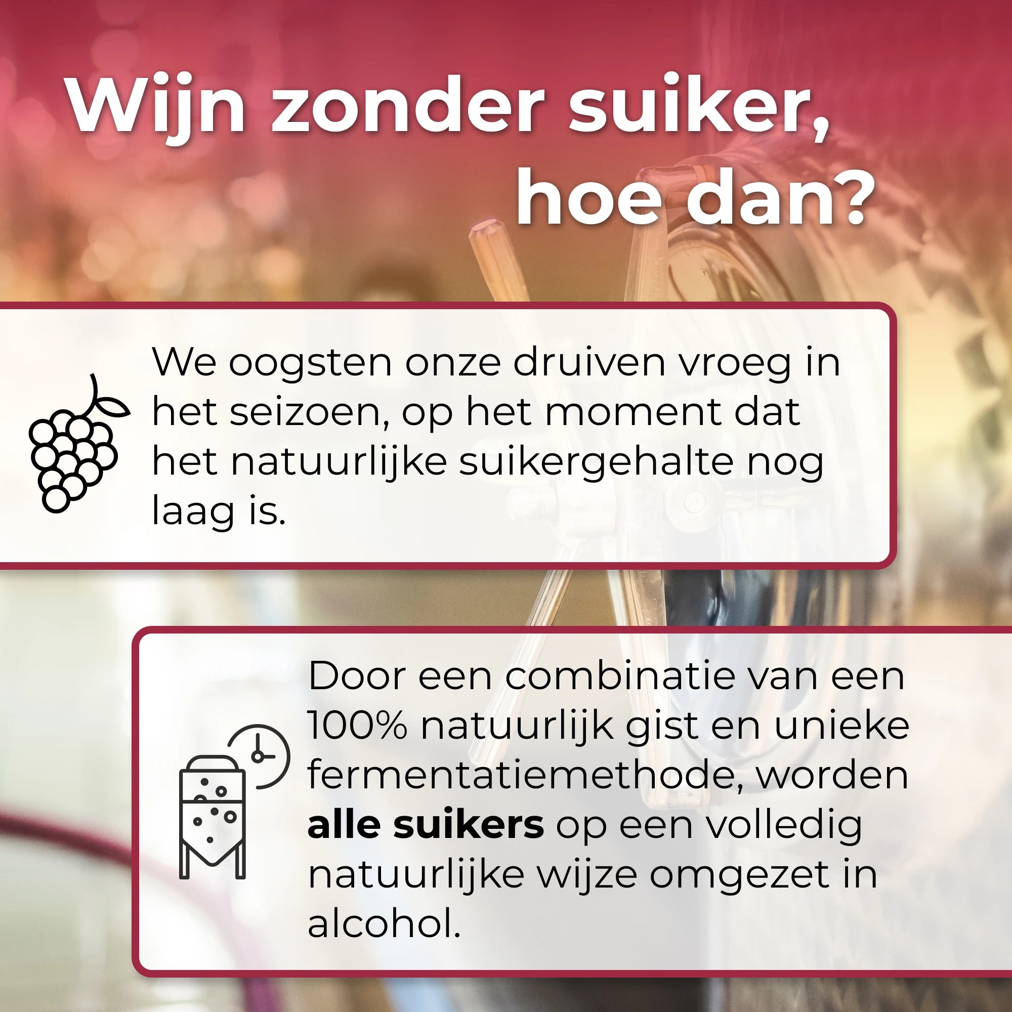 Zomer Aanbieding: Bestseller Pack