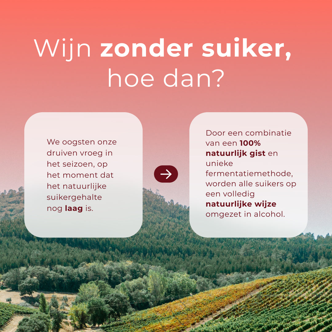 Introductie Aanbieding